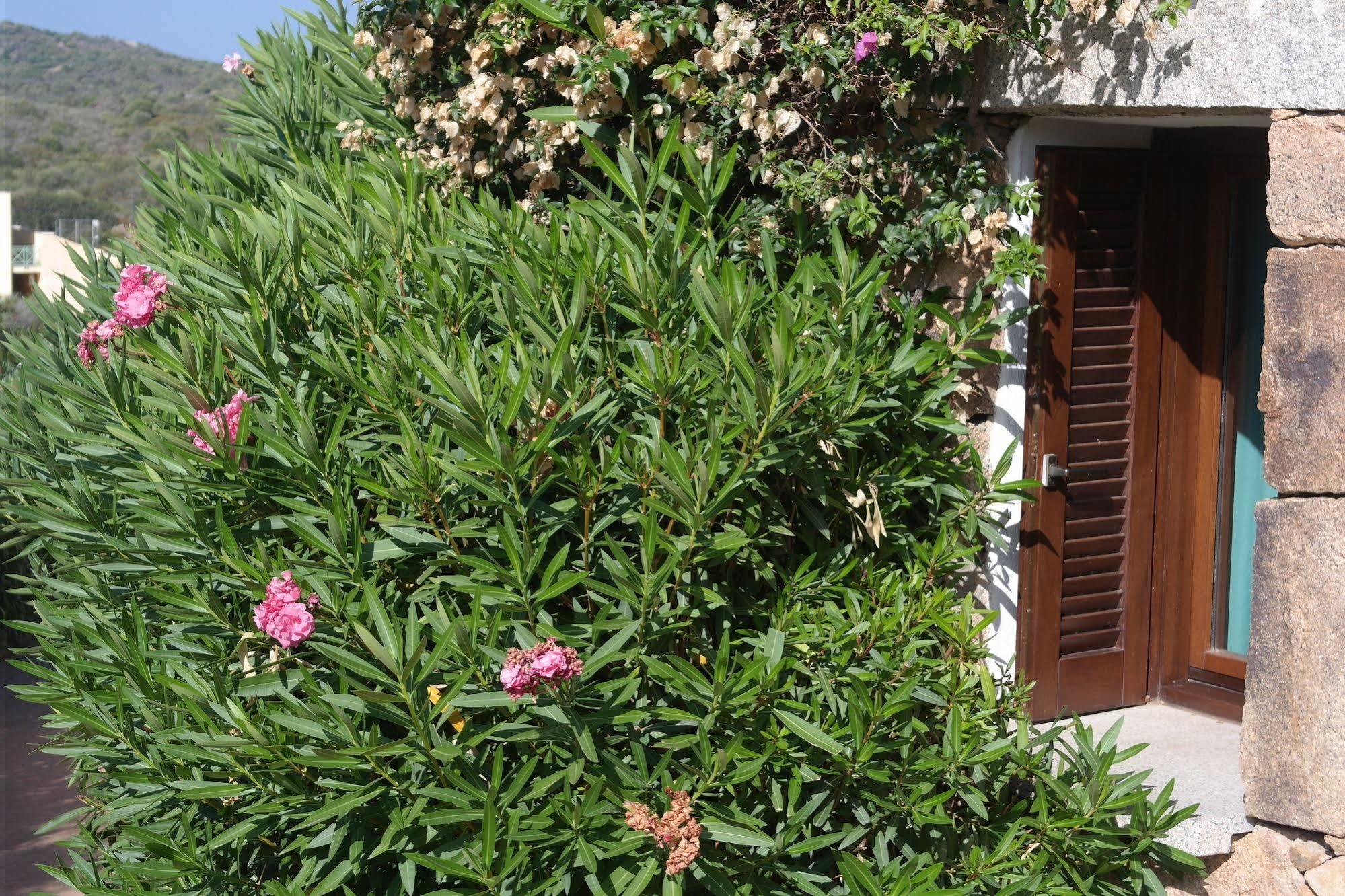 Sardinia Blu Residence Гольфо-Аранчи Экстерьер фото